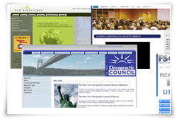 Chiropractic Facebook, Chiropractic Association Websites